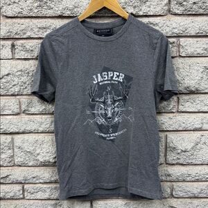 Men's Gray Jasper National Park T-Shirt sz Small
